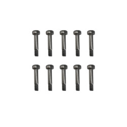 GT020095 Screw set - M3X10-L4