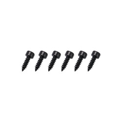 GT040115 Goosky RS7 Screws ST3*10