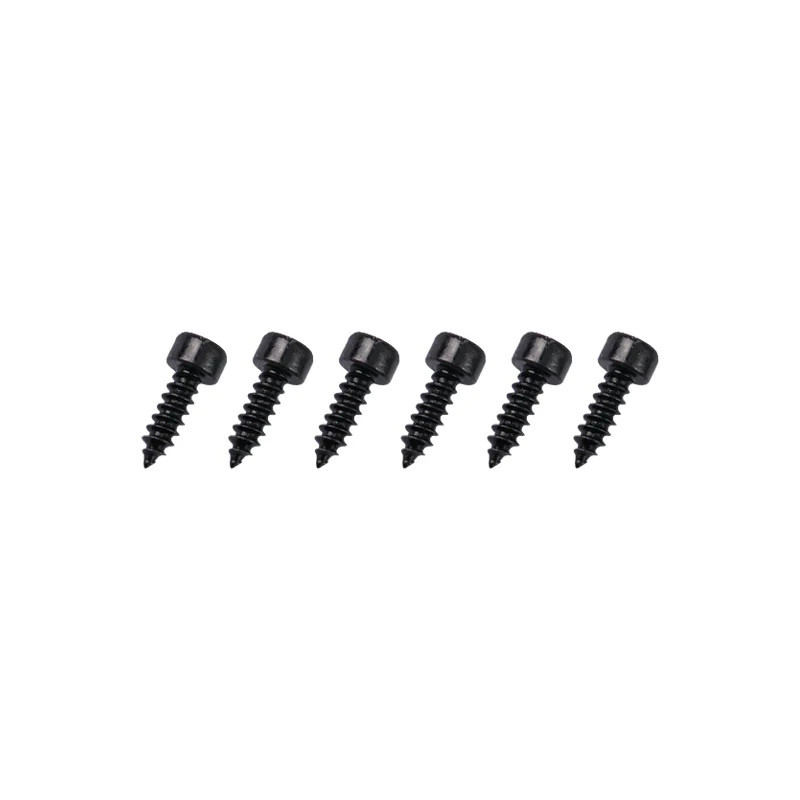 GT040115 Goosky RS7 Screws ST3*10