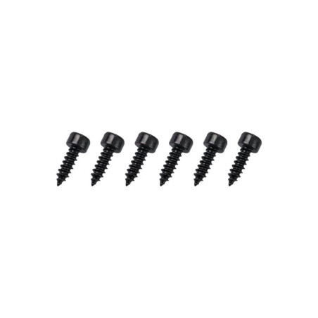 GT040115 Goosky RS7 Screws ST3*10