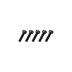 GT040108 Goosky RS7 Screws M3*12