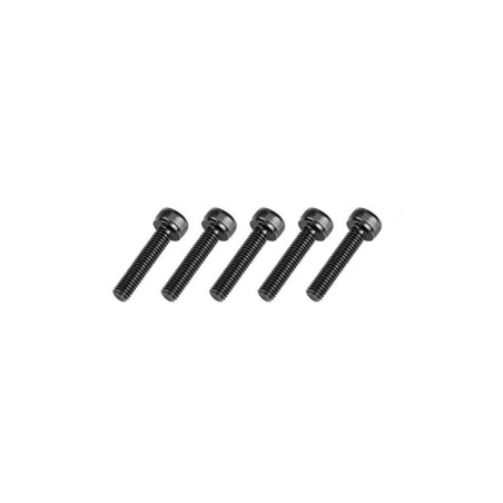 GT040168 Goosky RS7 Screws M4*8