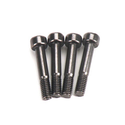 GT060076 Goosky RS5 Screw - M4X22