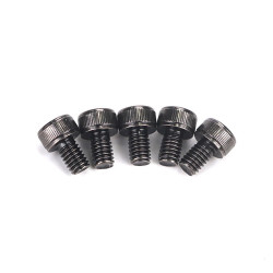 GT060079 Goosky RS5 Screw - M4X6