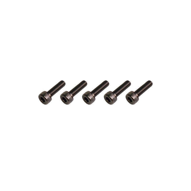 GT220069 Goosky RS5 Ultra Screw - M4X14 (For Landing Gear Use)