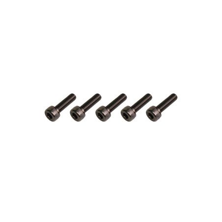 GT220069 Goosky RS5 Ultra Screw - M4X14 (For Landing Gear Use)