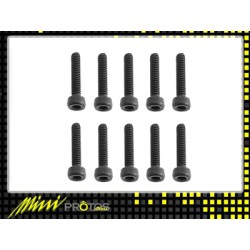 MSH41121 M2x10 Socket head cap screw