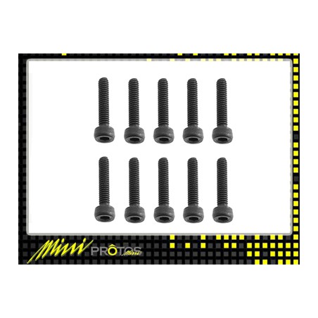 MSH41121 M2x10 Socket head cap screw