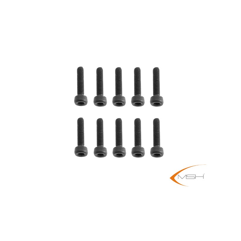 MSH51143 M2,5x10 Socket head cap screw