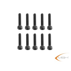 MSH51144 M2,5x12 Socket head cap screw